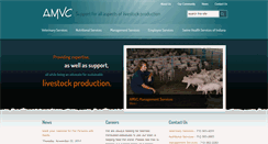 Desktop Screenshot of amvcms.com